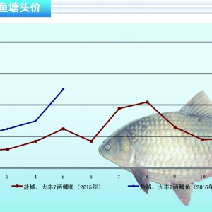 �a�~���AӋ6�r������ƽ��(w��n)������ˮ�a(ch��n)ǰ�ء�2016��6�¿��Ј�څ��