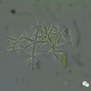 ������أ�ʷ����ȫ������D�V