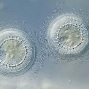 ˮ�a֪�R�죺�����~����x�DƬ��R��