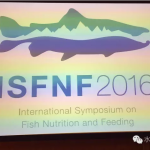 �����~I�B�c��ϴ��������̫ꖹ����_