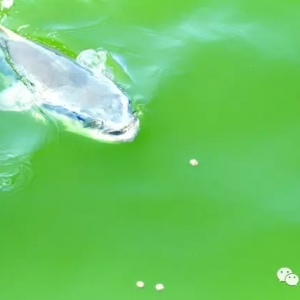 ꎲ���e���_���e�B���~�_�ٳ����Ј���