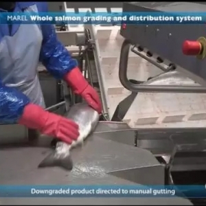 �𺳣����⺣߅ȫ�ԄӚ��~��ˮ�������~�M����Ʒ��ȥ