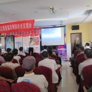 �V���h���Bֳ����θ����B�������r��