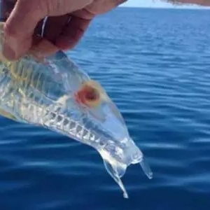 ����Ȧ���h��͸���������~����������һ��ˮ�a��