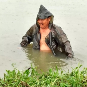 ������26ʡ�ܞ�(z��i)���pʧ506�|Ԫ��ˮ�a(ch��n)�B(y��ng)ֳ�׮�(d��ng)��_