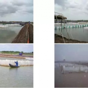 3��(g��)���L(zh��ng)��18�^���B(y��ng)ֳ�ɹ��ʸ��_(d��)90%������(gu��)Ī�����뿿�@�M(j��n)܊�Ї�(gu��)�߹�(ji��)��(du��)�r�Ј�(ch��ng)