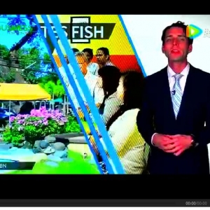 �_���~(y��)�ӹ��ɱ���� �ɞ����������T(m��n)ʳƷ