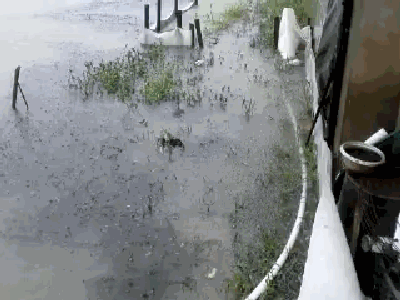 ꐲ��������������(z��i)���B(y��ng)ֳ�����c�~(y��)�(l��i)ԓ�@���o(h��)��