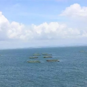 �K�ң�����槡����߻ݖ|�󁆞��W��300-400�fԪ���|�~�����K�~