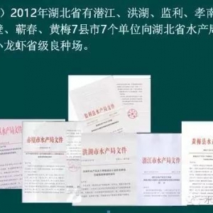 ���B����OR�˹����B  С���r�����x�ķN��