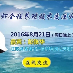 �l��΢�n���� | С���rȫ���Bֳ���g�����c̽ӑ