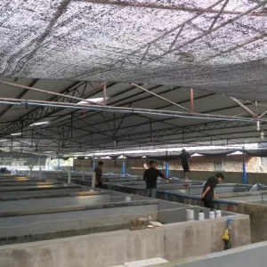 �����������λ�ɺ���ʯ���~��I�ġ������ӡ���