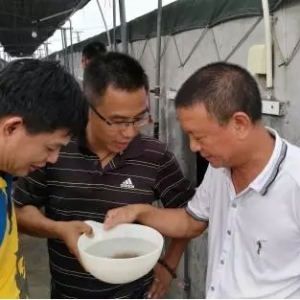 ��160�|��60�|���d�rˮ�a��η������ֵ��X��ٍ��