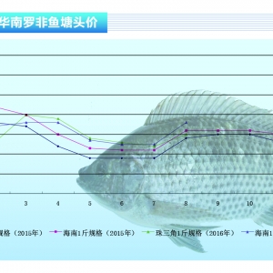 �_���~���������� �����~�rͻ��4Ԫ���P������ˮ�aǰ�ء�2016��9�¿��Ј�څ��