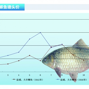 �a�~��9���~�r��С���ϝq������ˮ�a(ch��n)ǰ�ء�2016��9�¿��Ј�څ��