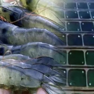 һ��Ԕ�M���xȫ���r�Bֳ��������