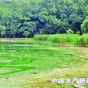 ���мt���Ρ��ױ㡱��������ۡ����Ǵ󷨡����{�壡