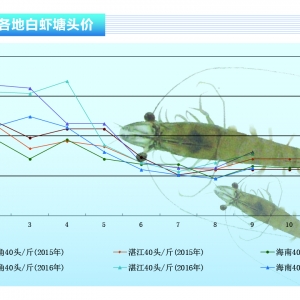 ���r�������R�� �r�r�����ϝq������ˮ�aǰ�ء�2016��10�¿��Ј�څ��