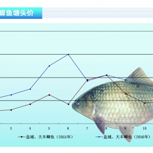 �a�~��10���~�r���Է�(w��n)���F(xi��n)�����������ˮ�a(ch��n)ǰ�ء�2016��10�¿��Ј�څ��