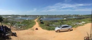 տ������17�����rֵ�����f���r�K�����˶���