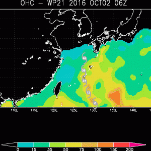 ���c�ʺ�����Ҫ��������Ҫײ�����_�L��