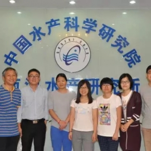 ��׃�����g���Ρ����������F���gҲ��ƽ��