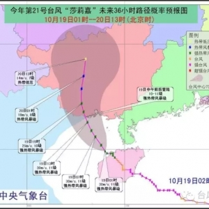 ���ӑB��ɯ�����������Խ���� �����R������Ӱ��A�|�A��