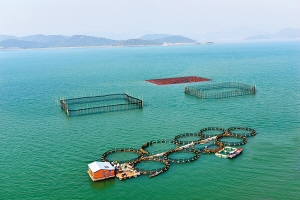 �����Bֳ�������󡰇��~�����S�~�a�I�