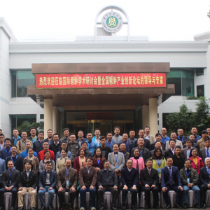 �Z�|피��мҸ�؛���Z�|�����N������_�l���Bֳ���g�Ͳ�������߀��ô�y�㶨�᣿