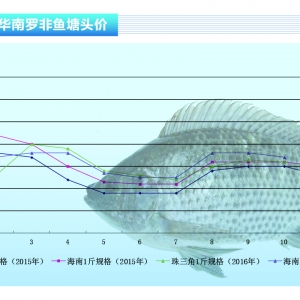 �_���~������һ�� �r��Љ�������ˮ�aǰ�ء�2016��11�¿��Ј�څ��