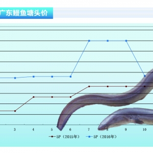 ���~���~�r(ji��)������ֵ������ˮ�a(ch��n)ǰ�ء�2016��11�¿��Ј�(ch��ng)څ��(sh��)