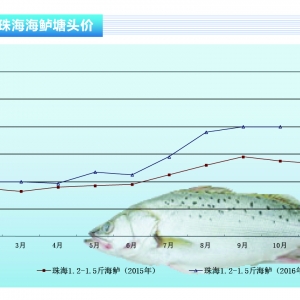 ���|������r���Ի��� ���ڱ���ƽ��������ˮ�aǰ�ء�2016��11�¿��Ј�څ��