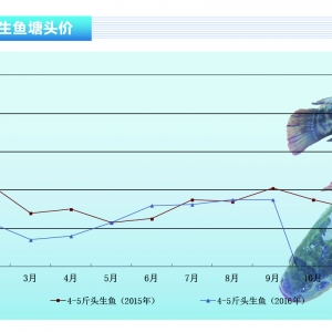 ���~������(y��ng)� �~�r(ji��)���wƫ�͡�����ˮ�a(ch��n)ǰ�ء�2016��11�¿��Ј�(ch��ng)څ��(sh��)