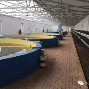 ����ĭ�������B�~��߀���Á����eľ�w���ӣ��@����Ҳ�]�l��