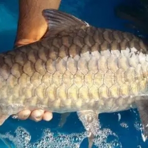 �Ѓr750Ԫ/����R�����������~��Ҫ�M���Ї���