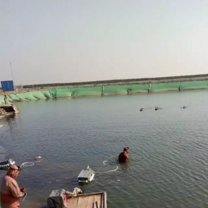 �B(y��ng)ֳ�����@Щ�������������˶��٣�