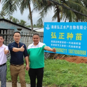 �B(y��ng)ֳ�ɹ��ʸ��_8-9�ɷ��ް߹�(ji��)���r������������I�ˡ��߹�(ji��)܇��