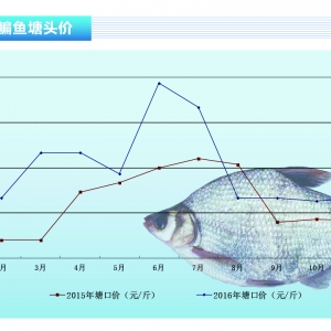 ���~���K���~�r(ji��)ƽ��(w��n) �ɽ���һ�㡪����ˮ�a(ch��n)ǰ�ء�2016��12�¿��Ј�څ��