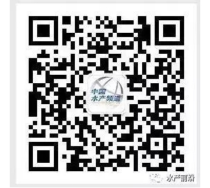 �l��΢�n����������Y����ʿ���V������������xُ��(y��u)�|(zh��)�r�磿