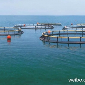 �Ї����@�T��^������Ҫ���o�����e��