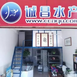 90���W(xu��)����(chu��ng)�I(y��)�B(y��ng)�������N���p���^ǧ�f