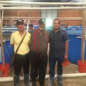 ���S���M�е��ף�PRIMO��API����������ͥ