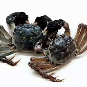 ���ˮ�a�BֳЧ�棬����ꖳκ����lз������С���r�����������ˮ�~���R��