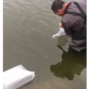 �������@�����P�I�c�������|����ˮ�������ɻ��ʴ�󷭱���