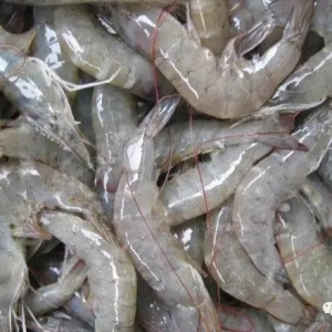 7�l���a�����r��FDA�ܽ^�M�ڣ������I��ڰ��؄e��Խ�ϵ��@����˾��