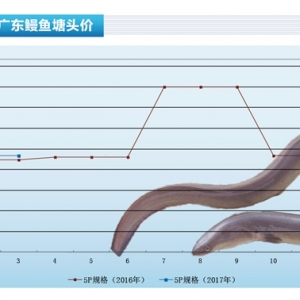 ���~���r(ji��)�����w�S�ַ�(w��n)��������ˮ�a(ch��n)ǰ�ء�2017��4�¿��Ј�(ch��ng)څ��(sh��)