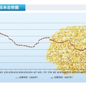 ���ף��F(xi��n)؛�q�ݷž� �ϱ��ۿڃr�񵹒졪����ˮ�a(ch��n)ǰ�ء�2017��4�¿��Ј�څ��