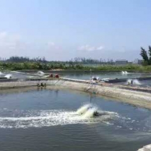 �÷����W�Bֳģʽ�B�r��������Ͷ�ϡ�����ˎ��