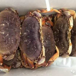 �M�����������ô��䌚з30%�ۙz�����ô���ΰ���Խ�ϻ���r100%�ۙz��