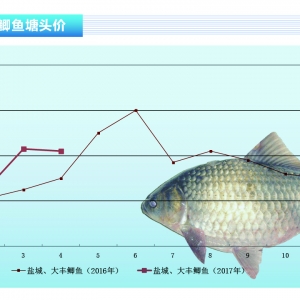 �a�~����΢���� �A�y5������S��������ˮ�aǰ�ء�2017��5�¿��Ј�څ��